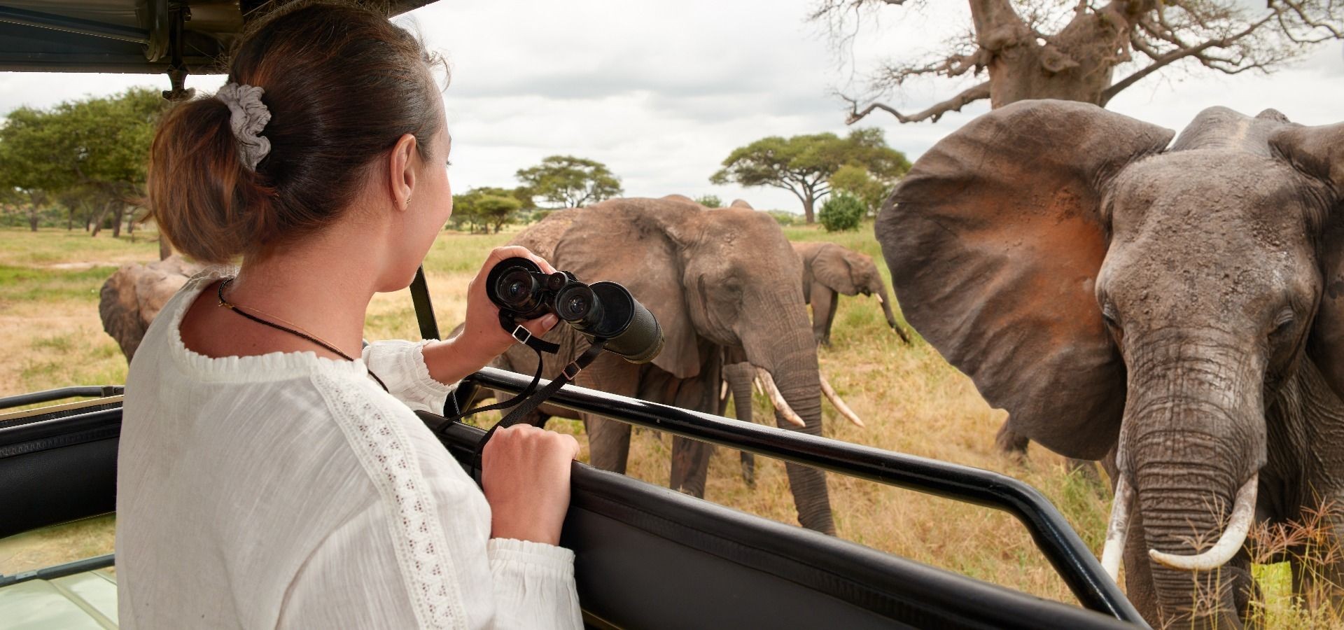 Abercrombie & Kent: African Safari