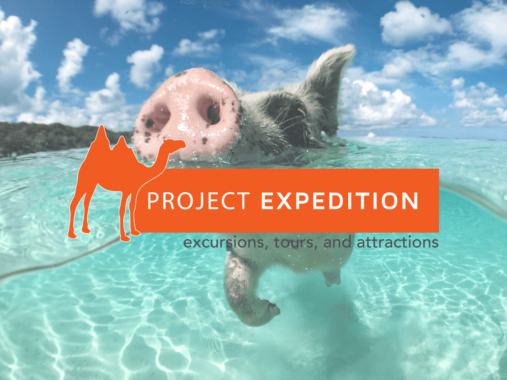 Discover and book tours and activities with Project Expedition