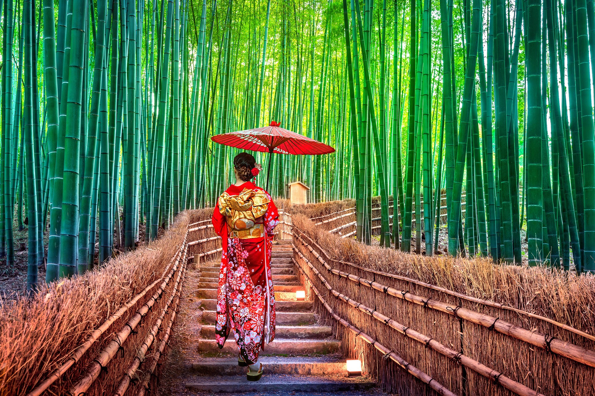 Bamboo Forest. Asian woman wearing japanese traditional kimono at Bamboo Forest in Kyoto, Japan.