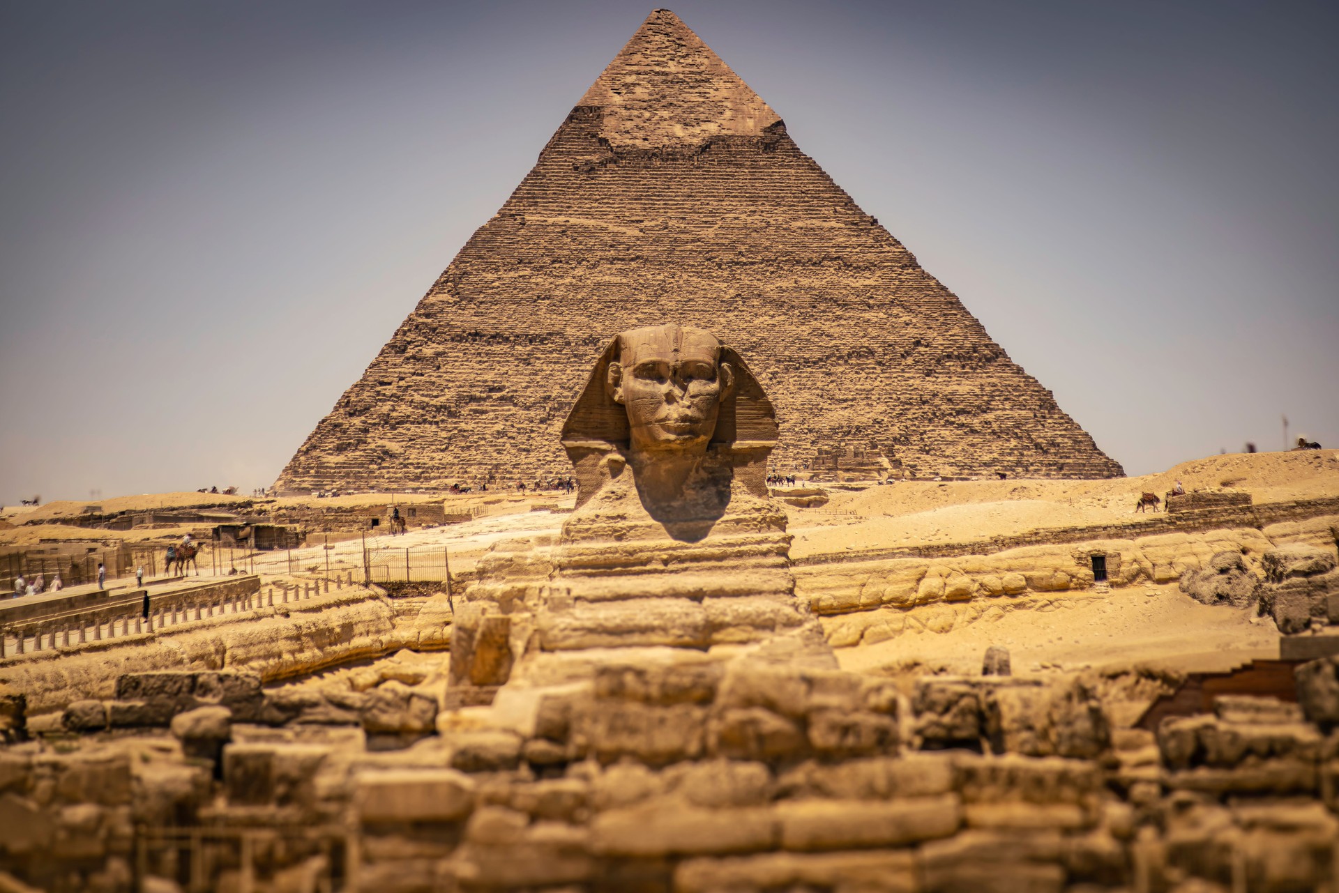 The Sphinx