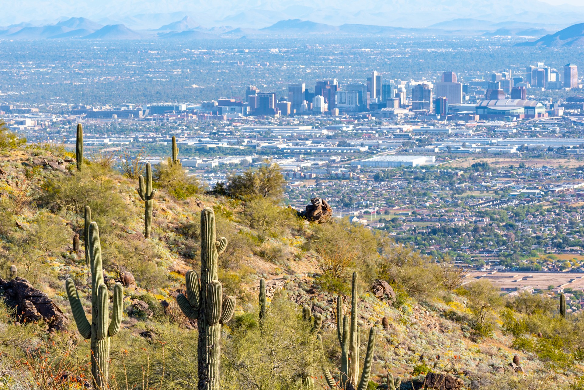 Mountaintop View of Phoenix